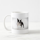Boston Terrier Kaffeetasse (Links)