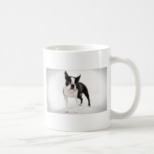 Boston Terrier Kaffeetasse