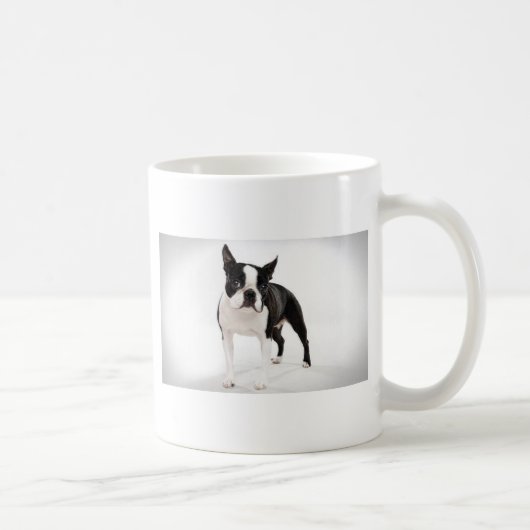 Boston Terrier Kaffeetasse (Rechts)
