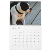 Boston-Terrier-Kalender Kalender (Feb 2027)