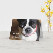 Boston Terrier Karte (Gelbe Blume)