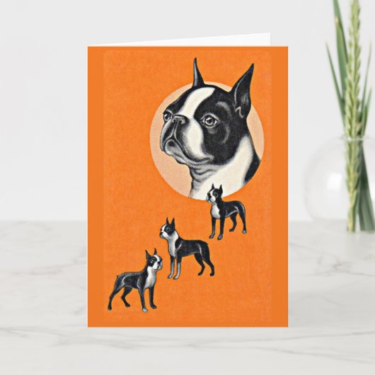 Boston Terrier Karte (Vorderseite)