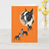 Boston Terrier Karte (Gelbe Blume)