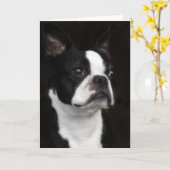 Boston Terrier Karte (Gelbe Blume)