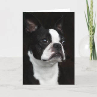 Boston Terrier Karte