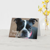 Boston Terrier Karte (Gelbe Blume)