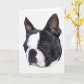 Boston Terrier Karte (Gelbe Blume)