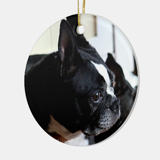 Boston-Terrier Keramik Ornament (Links)