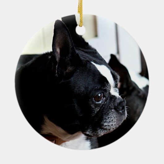 Boston-Terrier Keramik Ornament (Hinten)