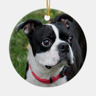 Boston-Terrier Keramik Ornament