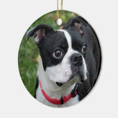 Boston-Terrier Keramik Ornament (Links)