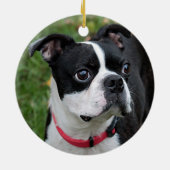 Boston-Terrier Keramik Ornament (Hinten)