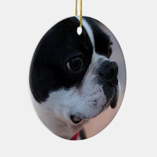 Boston-Terrier Keramik Ornament (Rechts)