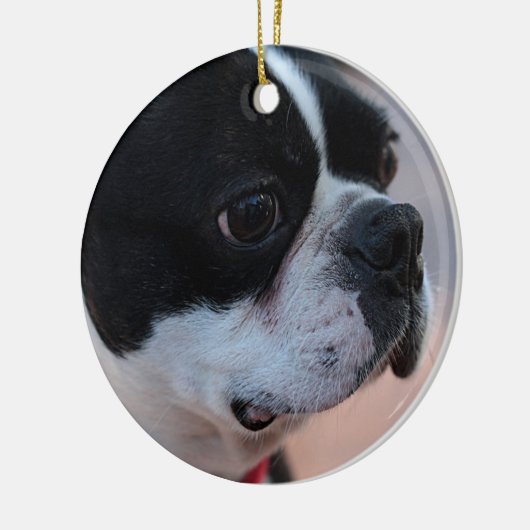 Boston-Terrier Keramik Ornament (Links)