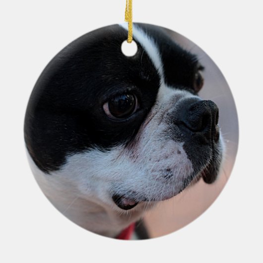 Boston-Terrier Keramik Ornament (Hinten)