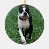 Boston-Terrier Keramikornament (Vorne)