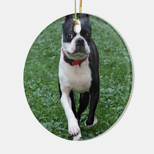 Boston-Terrier Keramikornament (Links)