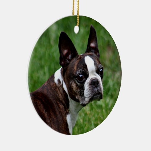 Boston Terrier Keramikornament (Rechts)