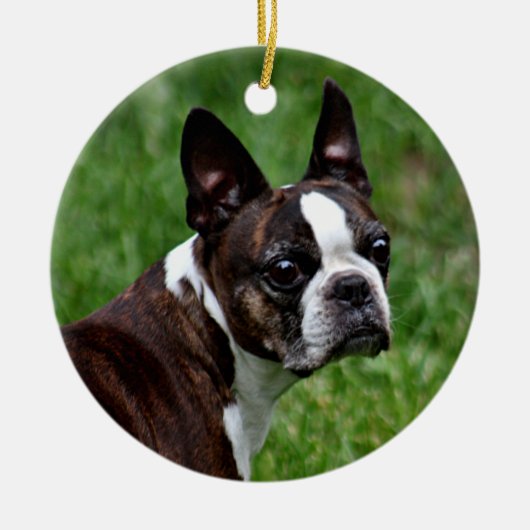 Boston Terrier Keramikornament (Vorne)