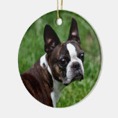 Boston Terrier Keramikornament (Links)