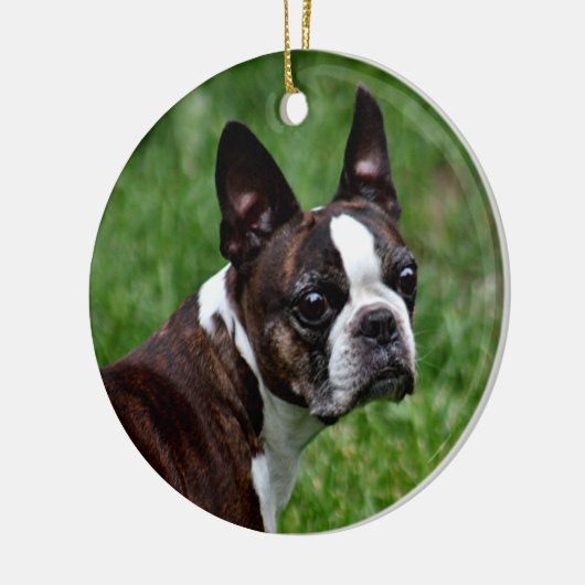 Boston Terrier Keramikornament (Links)