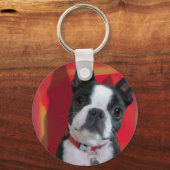 Boston Terrier Key Chain Schlüsselanhänger (Vorderseite)