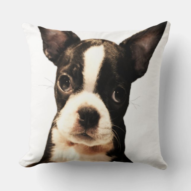 BoSTON TERRiER Kissen (Vorderseite)