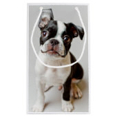 Boston Terrier Kleine Geschenktüte (Rückseite)