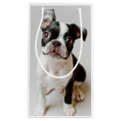 Boston Terrier Kleine Geschenktüte (Vorderseite)