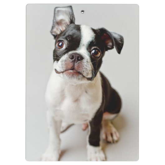 Boston Terrier Klemmbrett (Rückseite)