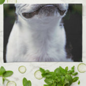 Boston Terrier Küchentuch (Gefaltet)