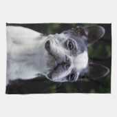 Boston Terrier Küchentuch (Horizontal)