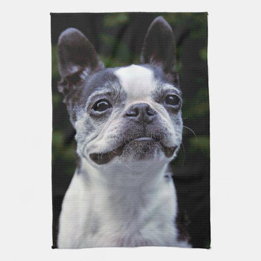 Boston Terrier Küchentuch (Vertikal)