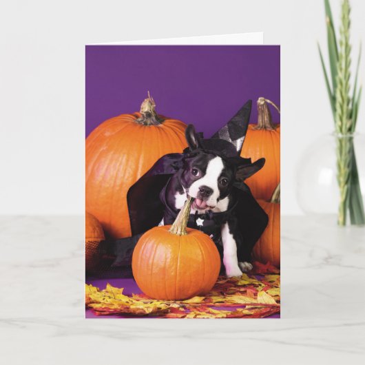 Boston Terrier KürbisHalloween - individuell anpas Karte (Vorderseite)