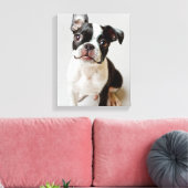 Boston Terrier Leinwanddruck (Insitu (Wohnzimmer))