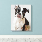 Boston Terrier Leinwanddruck (Insitu (Holzboden))