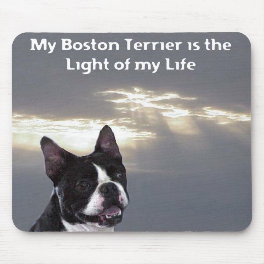 Boston Terrier: Licht meines Lebens Mousepad (Vorne)