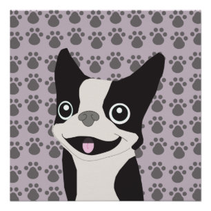 Boston Terrier, Lila Flieder Poster