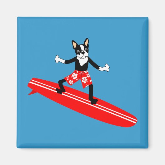 Boston Terrier Longboard Surfer Magnet (Vorne)
