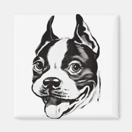 Boston Terrier Magnet (Vorne)