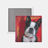Boston Terrier Magnet (Vorderseite/Rückseite)