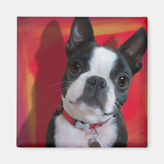 Boston Terrier Magnet (Vorne)