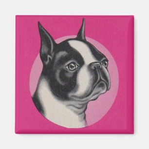 Boston Terrier Magnet