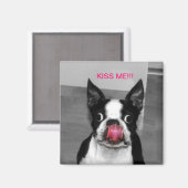 BOSTON TERRIER MAGNET (Vorderseite/Rückseite)