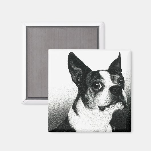 Boston Terrier Magnet - "Boston Style" (Vorderseite/Rückseite)