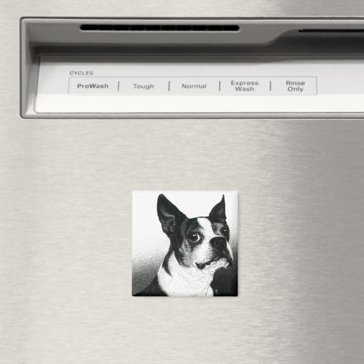 Boston Terrier Magnet - "Boston Style" (In Situ (Geschirrspüler))