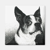 Boston Terrier Magnet - "Boston Style" (Vorne)