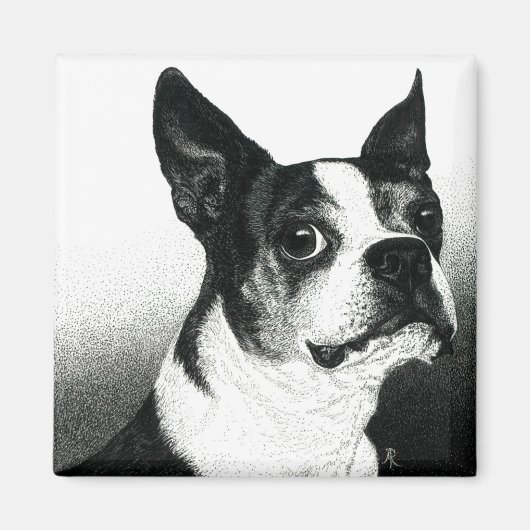 Boston Terrier Magnet - "Boston Style" (Vorne)