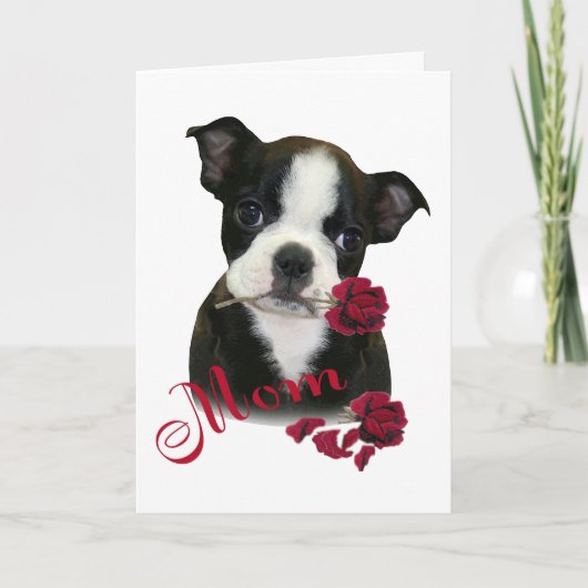Boston-Terrier-Mama Feiertagskarte (Vorderseite)