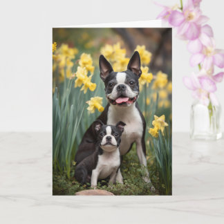 Boston-Terrier-Mama Muttertagsliebe Karte